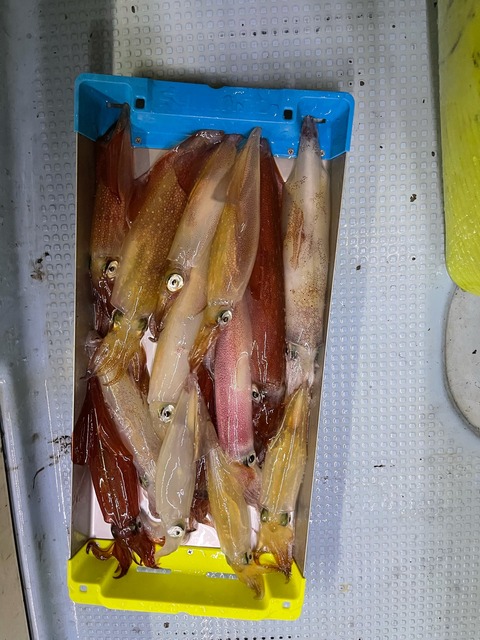 95B751F3-0523-4790-90F1-B30714B49954