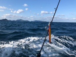 IMG_1401