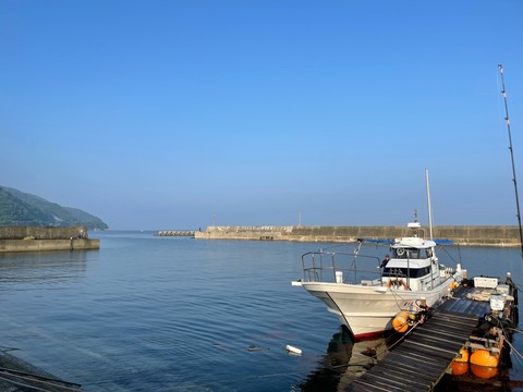 67405D02-E631-4EFA-8E45-26129D1C60AA