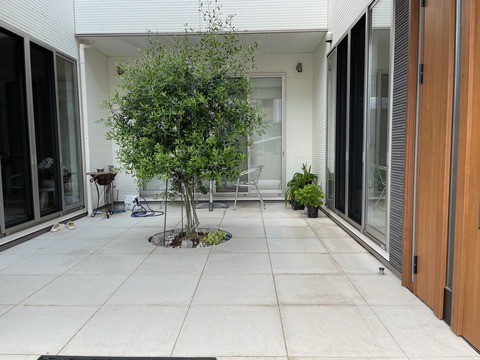 16090259-DDFB-4FA1-BDBE-7725FE4DEB2A