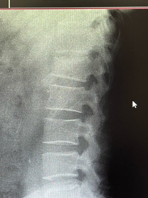 49D43000-C37F-4113-A313-6E85648F3441