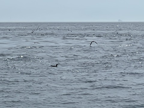 0C05B44F-886E-4CC5-AB3D-AED694665B5D