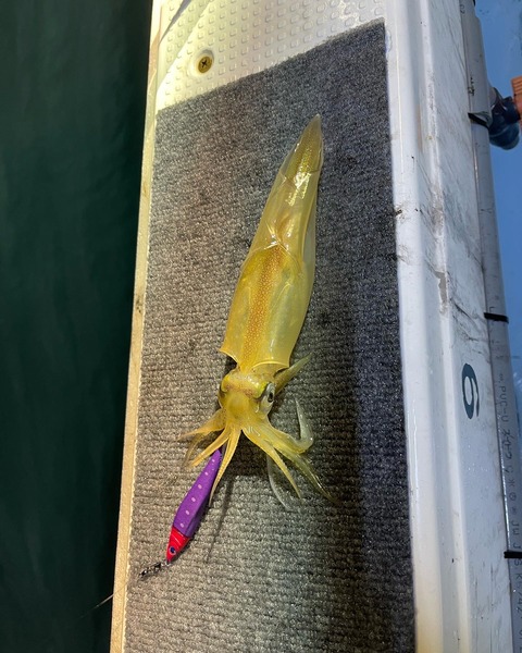 253B1815-88BA-4E75-9429-8C557632B8AF