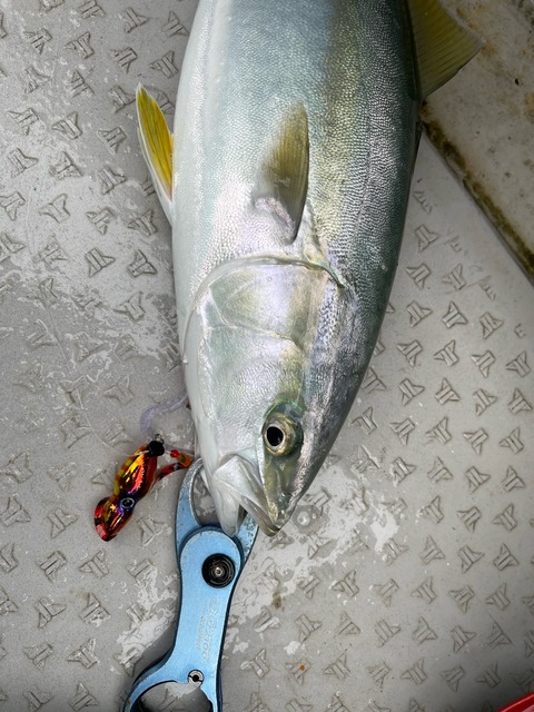 085EC571-DBA1-43E6-944E-9352CD7A9140