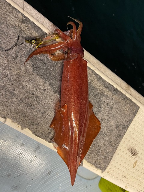 760826C3-FD5F-400D-BEE6-7A45F6C590F5