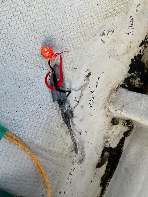 81FC9ED7-EDB4-4186-8935-460EAA305F36