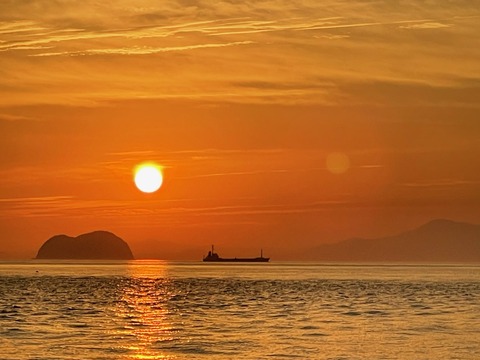 D1596B73-645C-42FE-B31C-863BFB365947