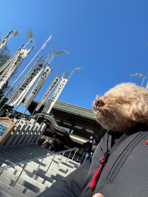 2511B028-33BB-4E56-9008-2DB23CB45C7C