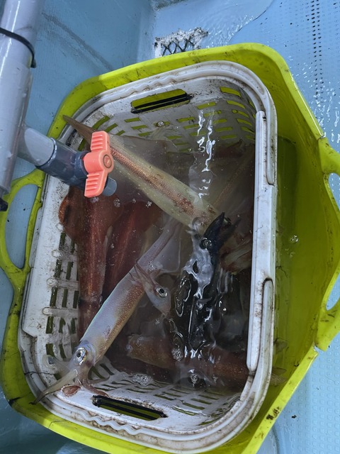 0C183717-BC45-400F-88F0-7F26285AFFE9