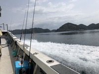 IMG_4386