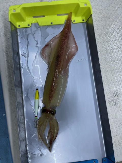 51F4B7A0-DC54-4E55-B4F8-AE339D462C35