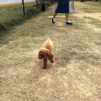 IMG_0054