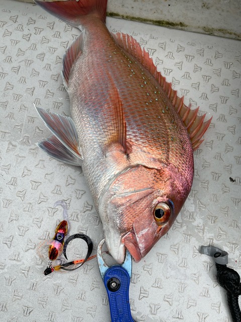 556573D8-BCE9-4C99-A238-4C890C8E3692