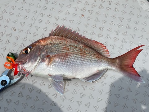 856AF660-FB6A-49CD-8324-619788EE7548