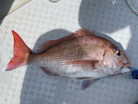 8A3B56C3-7760-43CA-8E6B-01B361ADDDFF