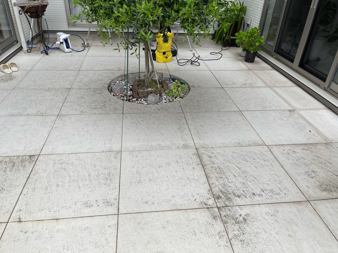 4月18日 日曜日 Stay Home 海風にふかれて 院長日記 4月18日 日曜日 Stay Home 海風にふかれて 院長日記