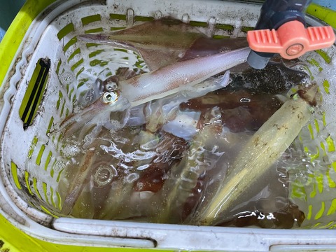 38D63883-0DE5-46EF-BA01-F08A57547291