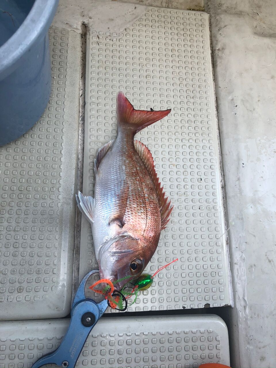 8月2日 日曜日 鯛ラバ釣行 海風にふかれて 院長日記