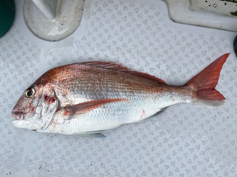 0FA85AFA-5F7B-4EE3-9493-B63CA77AD5F3