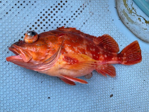 6B1BE900-630E-4727-8CF6-4F90AA9014BD