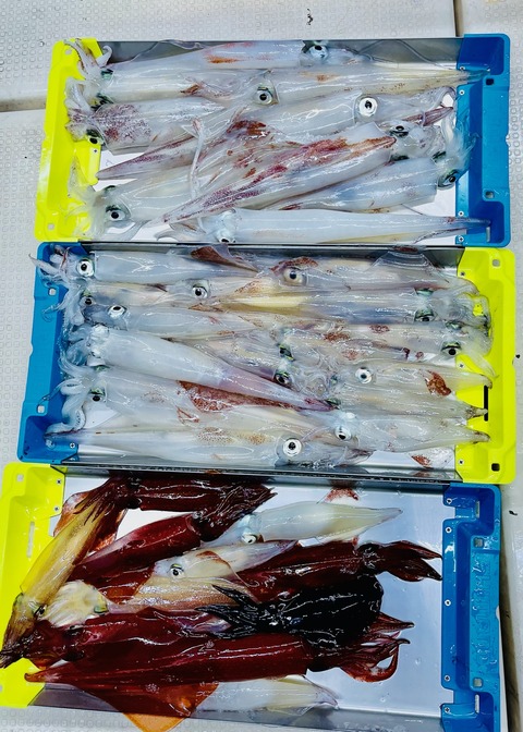 5CD517A0-5D61-4D05-957B-118B1D1082BF