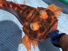 IMG_0485