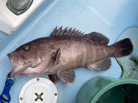 C90A3FEC-93D5-4421-B99C-8E00CF6B31A4