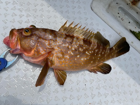 0B20A7C9-30DF-41E1-A518-4672CAC4E642