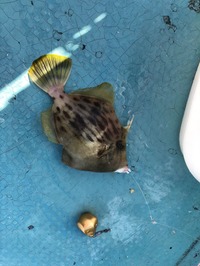 IMG_1062