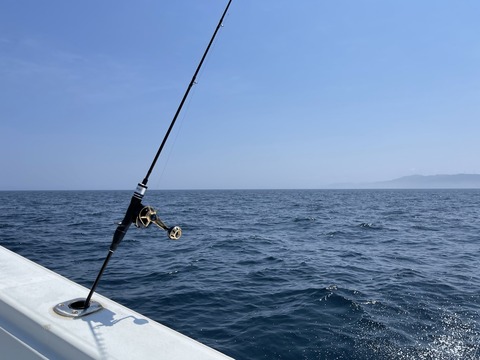 56D61DAD-7C94-48B1-B691-8F6EEA9A7036