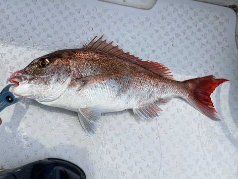 2CA9E207-5E9C-4B71-A7FE-707B74D70557