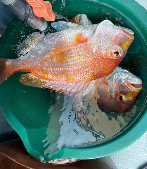 9C4DAFE9-26E2-46AE-BB42-27A29A5EE1BE