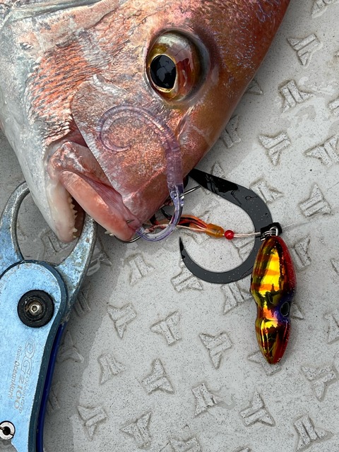 71A9E9E1-7BCB-4AB3-90A1-3A1537C0EE7F