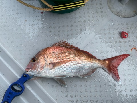 44FDE9EB-F0DB-45F1-9C5E-494AD017D789