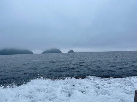 894B14A4-2768-46C1-881E-F2E87748A3E5