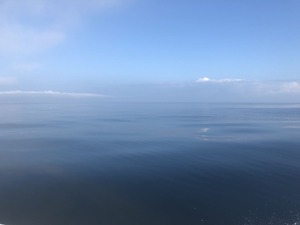 IMG_5089