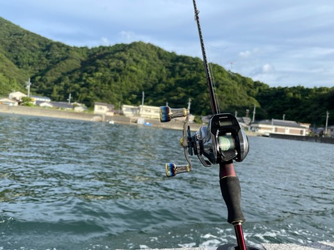 C03998B6-A91C-45DD-B147-FF4D50D9011C