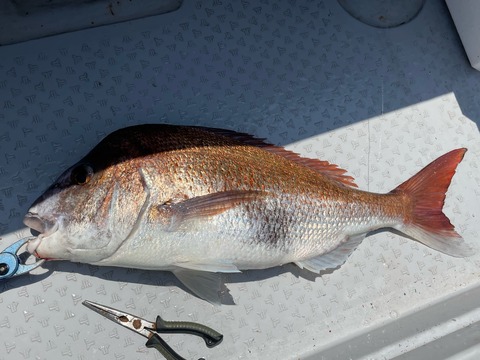 AD4773F4-D1A4-4E67-A40C-5B15D65282DB