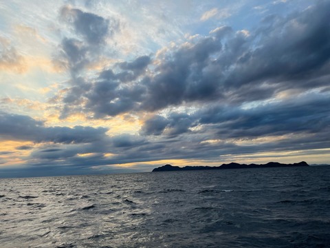 FA963132-7C72-495A-B73E-628BD8F61248