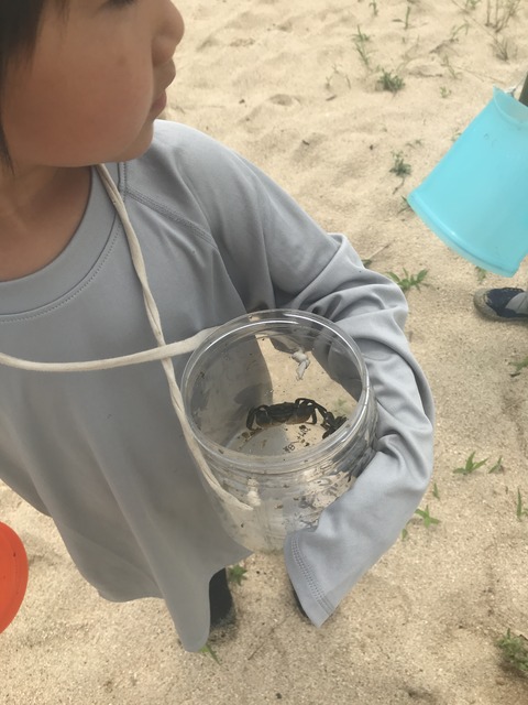 5C3C3CC8-BCE1-4F21-9FE8-98A465643C5D