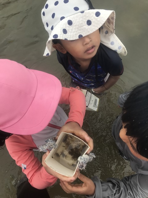 5C975900-4A2F-4F3A-9759-FE1139AC31BE