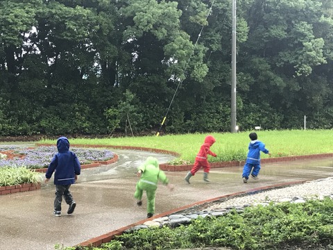 B31668FD-C6E4-490C-B0F0-E18F8F433A00