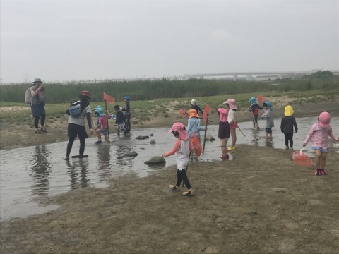 557A7719-3D5A-4BC1-A0F0-5F265264A961