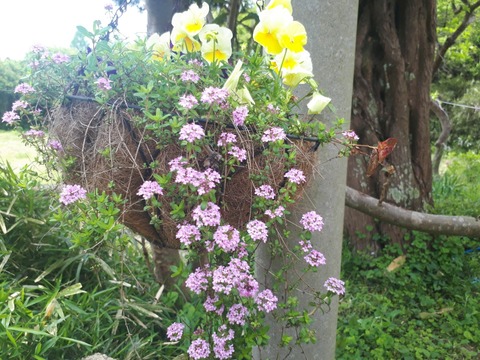 20190509_104853