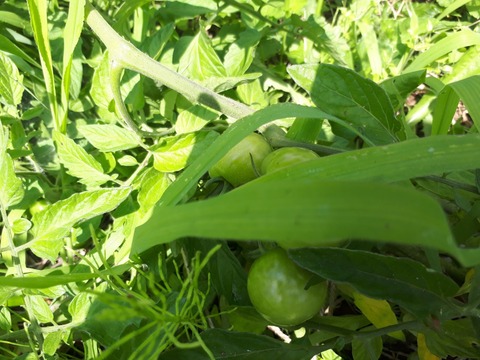 20190626_103237