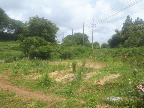 20190520_103630