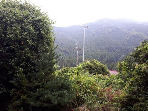 20180806_134030