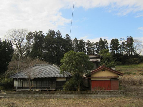 o0700052511774372557
