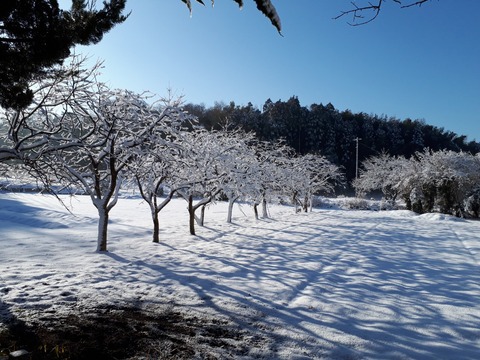 20180123_085241