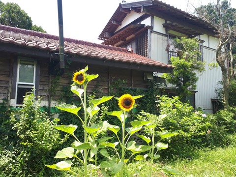20180719_110120